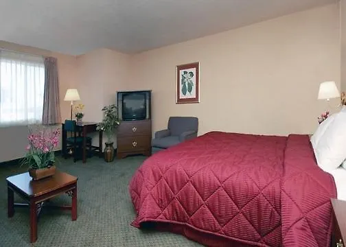 Comfort 2*