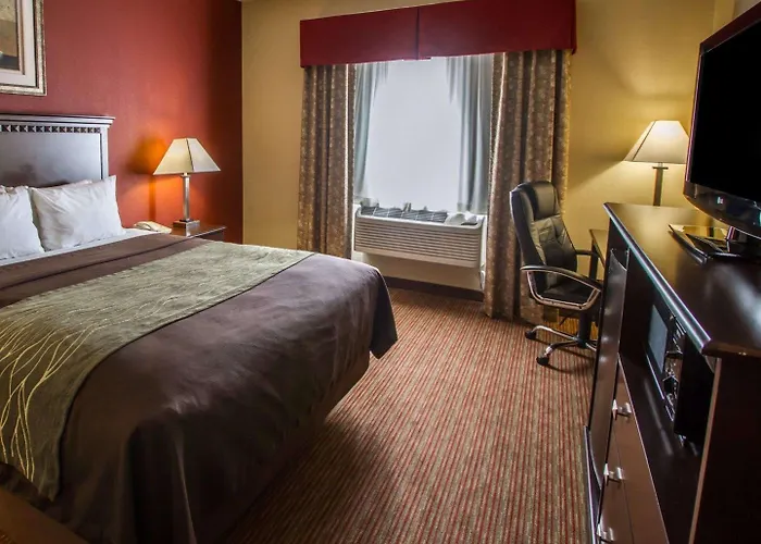 Comfort Hotel