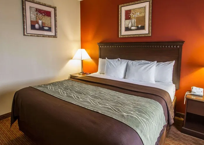 Comfort 2* Phoenix