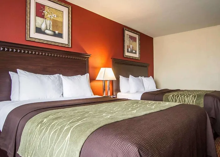 Hotel Comfort 2*