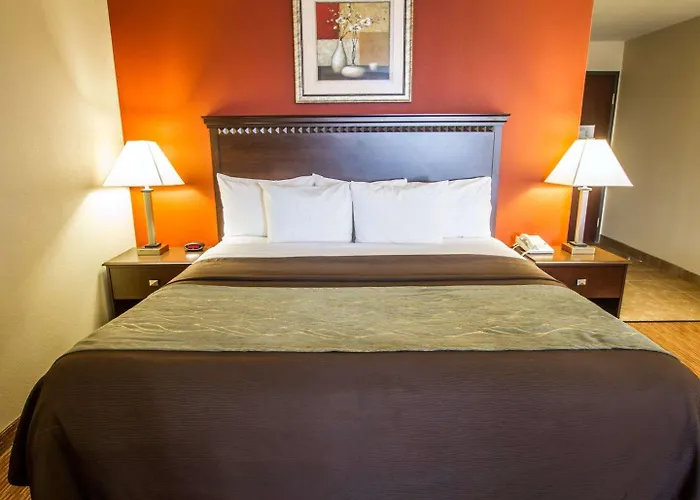 Comfort Hotel Phoenix