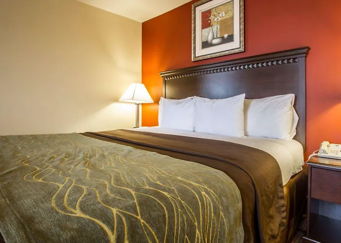 Hotel Comfort