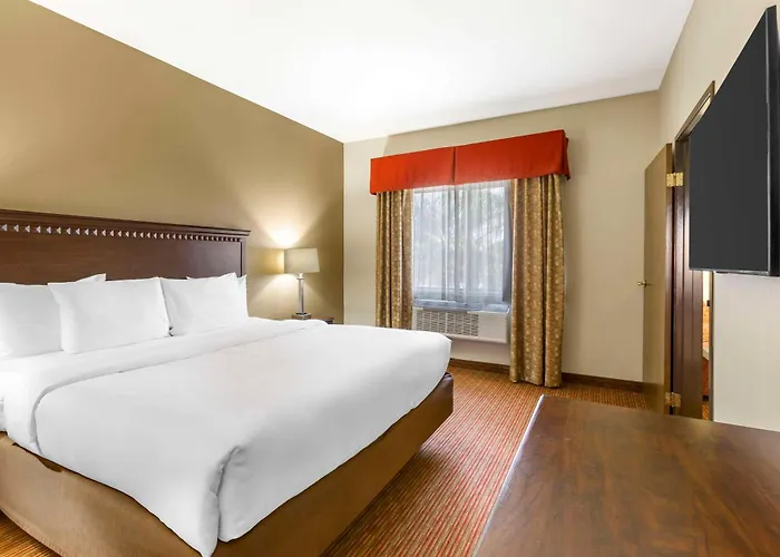 Comfort Hotel Phoenix