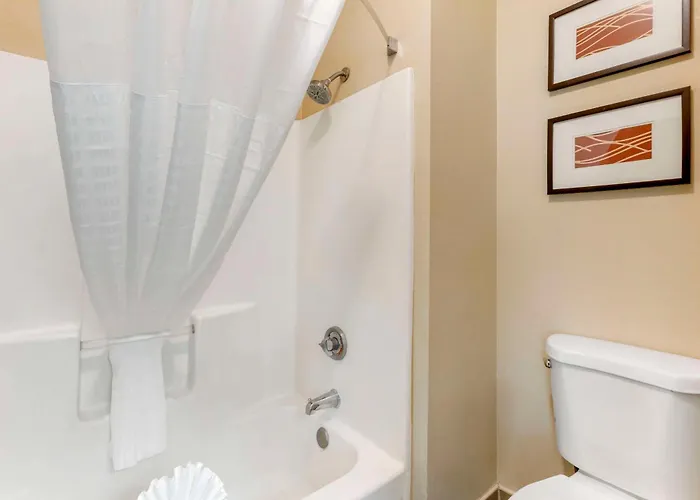 Comfort Hotel Phoenix