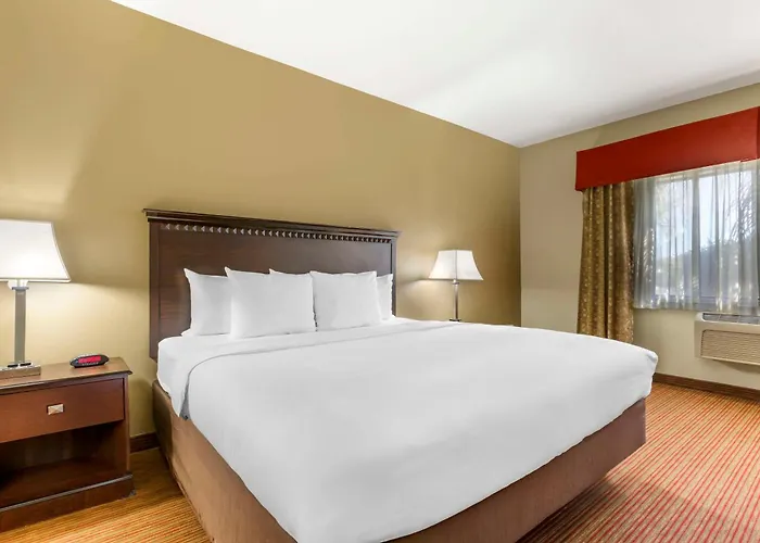 Comfort Hotel