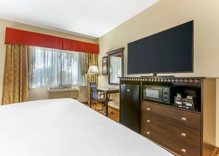Comfort Hotel