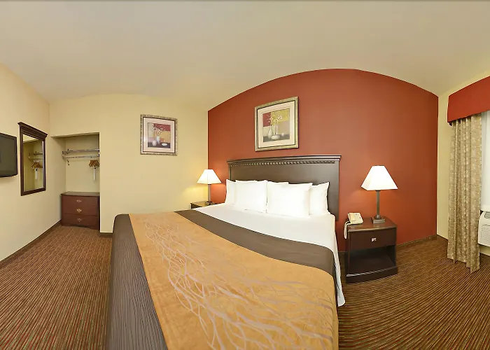 Comfort Hotel