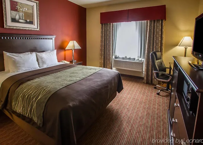 Hotel Comfort Phoenix