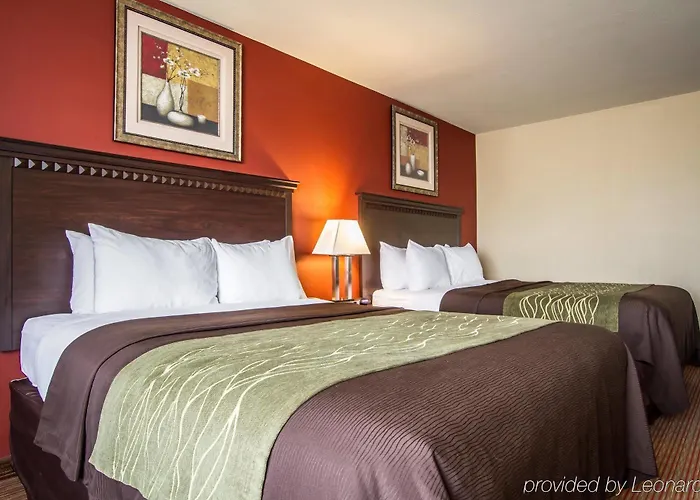 Comfort Hotel