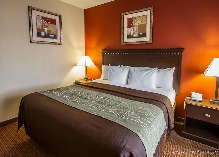 Comfort Hotel